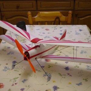 Tigermoth