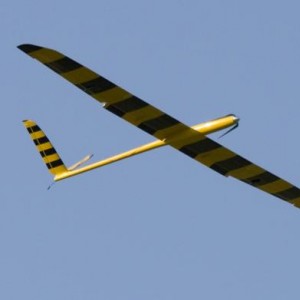 IMG 0977A