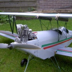ace1