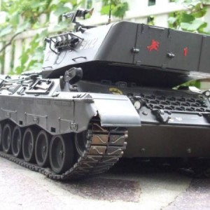 leopard 1,3