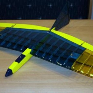 DLG Bird klaar