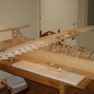 Catalina 3