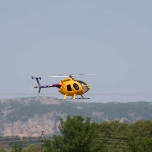 IMG 7365