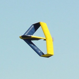 flying 1