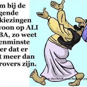 stemadvies