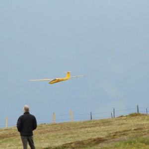 IMG 7451