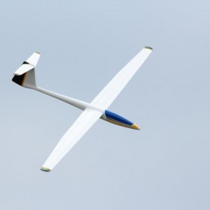 IMG 7515