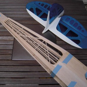 Rascal 40 Rebuild

Details van het 'tengelwerk' van de staart...