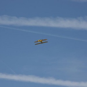 IMG 0677 lowres25