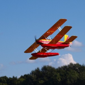 Herschaalde kopie van P9229675