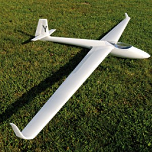 Libelle 11