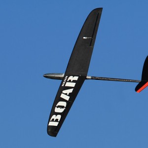 Boar Black Big