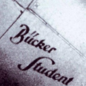 Bucker Bu 180 119
