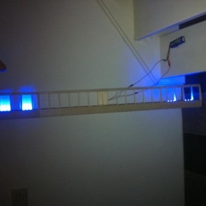 IMG 1477[1]