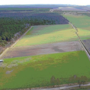 foto veld 26 02 2012 1