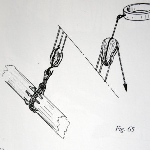 P1140145