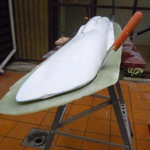 DSCN6423