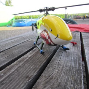 shark5