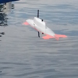 shark (graupner)