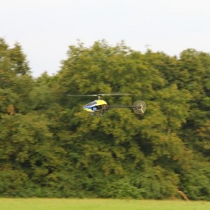 IMG 7094