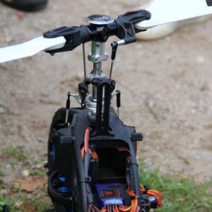 IMG 7101