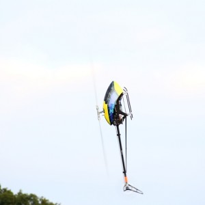 IMG 7107
