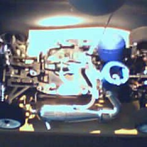 Afbeelding 003