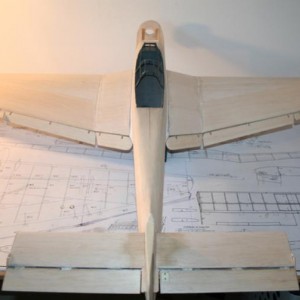 Junkers Picchiatello 136