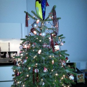 7HV X mas