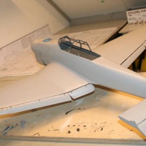 Junkers Picchiatello 229