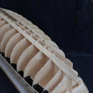 cDSC 1355