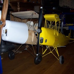 stampe & tiger