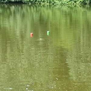 subsail14 dolfijn
