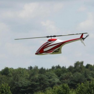 IMG 4985