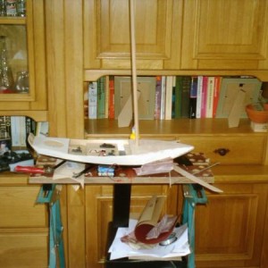 Het is al een lelievlet! De mast hoort wel wat rechter hoor, het was alleen een dryfit.