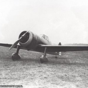 d21 40