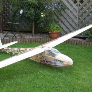Canopy 1