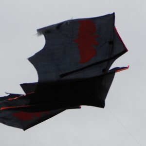 Batkite flying fraying apart.