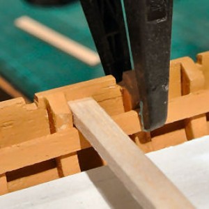 DSC 1368 1218