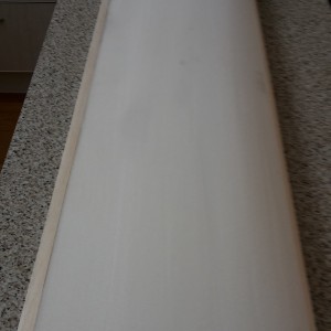 Pw51_wing