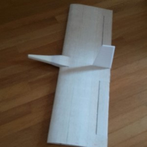 Plank_complete