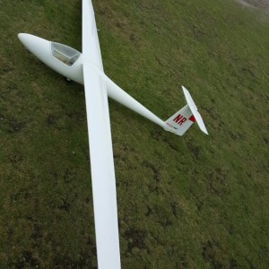 Libelle model