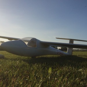 Libelle3