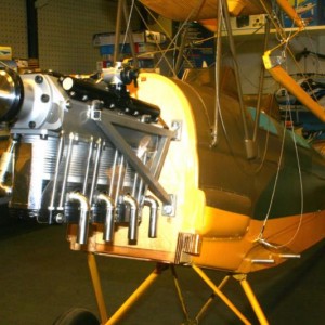 Moth2010 01
