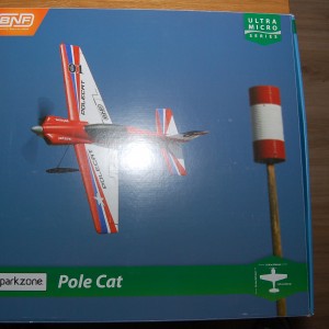 Pole Cat