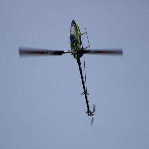 9-IMG_1343