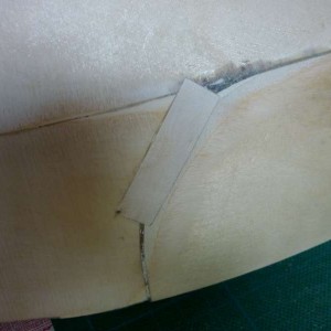 P1050693-800