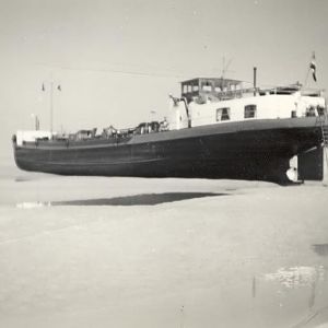 1959 Westerschelde