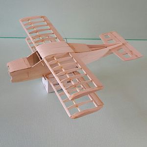 Zaunkönig