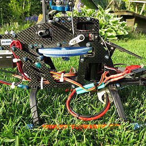 Trex450se6